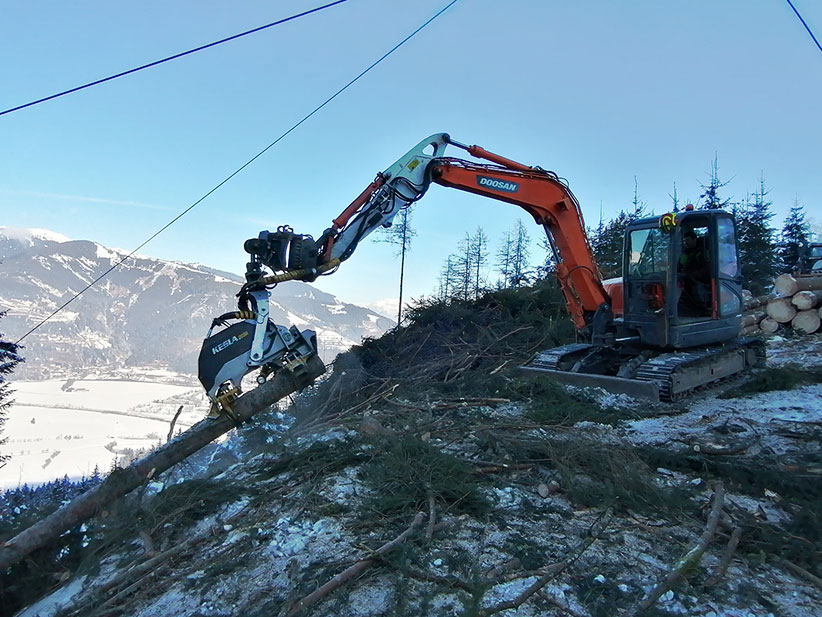Holzgewinnung