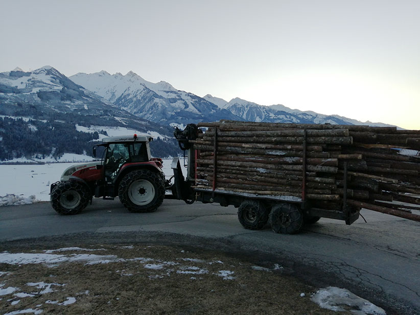 Holzgewinnung